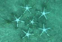 74454806_3151659531542937_7823682052384882688_o