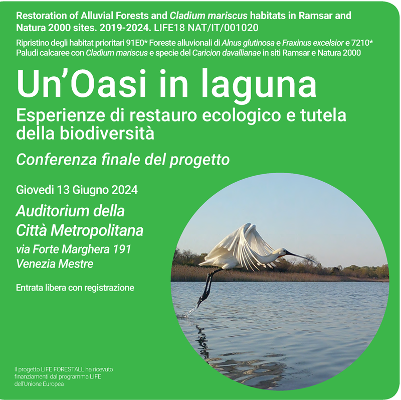 Venezia-Mestre, 13 Giugno INVITO ALLA CONFERENZA FINALE di LIFE FORESTALL