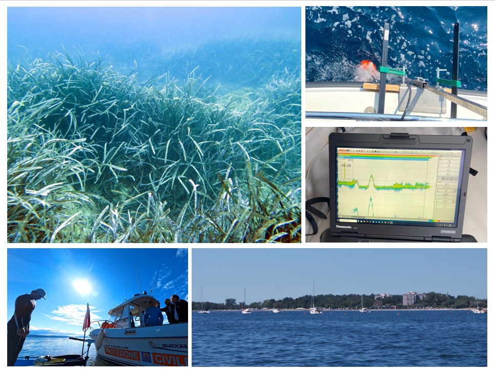 Al via il monitoraggio di BIOPRESSADRIA nella baia di Panzano a Monfalcone