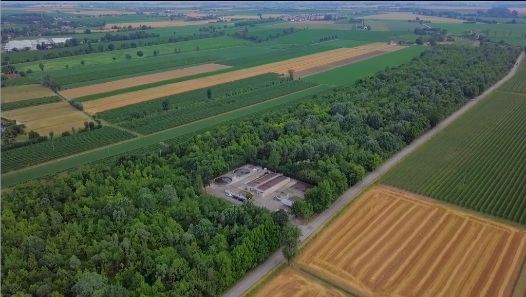 Sabato 16/11 CONFERENZA FINALE del progetto “Monitoraggio e valorizzazione del patrimonio naturalistico del Bosco “Belvedere”