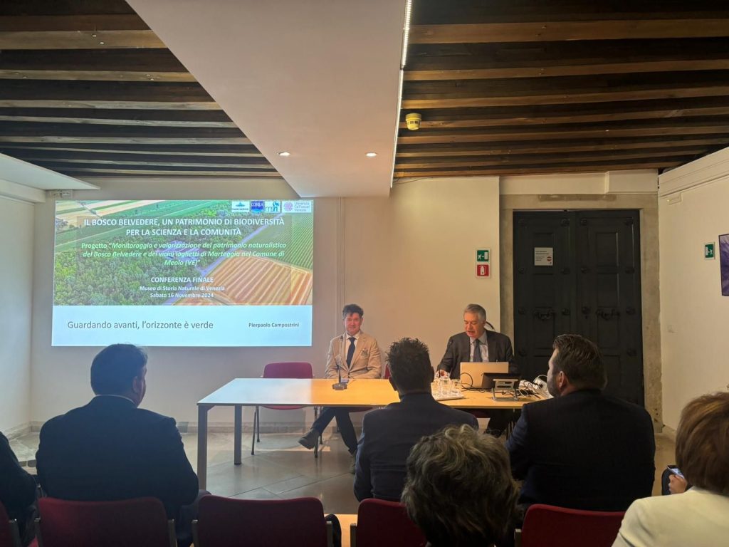 I risultati del progetto 